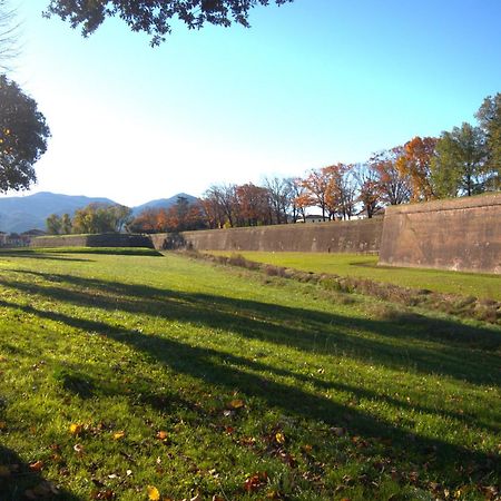 Appartamento Via Grandi - Free Gated Parking - 5 Minutes From Center Лукка Экстерьер фото